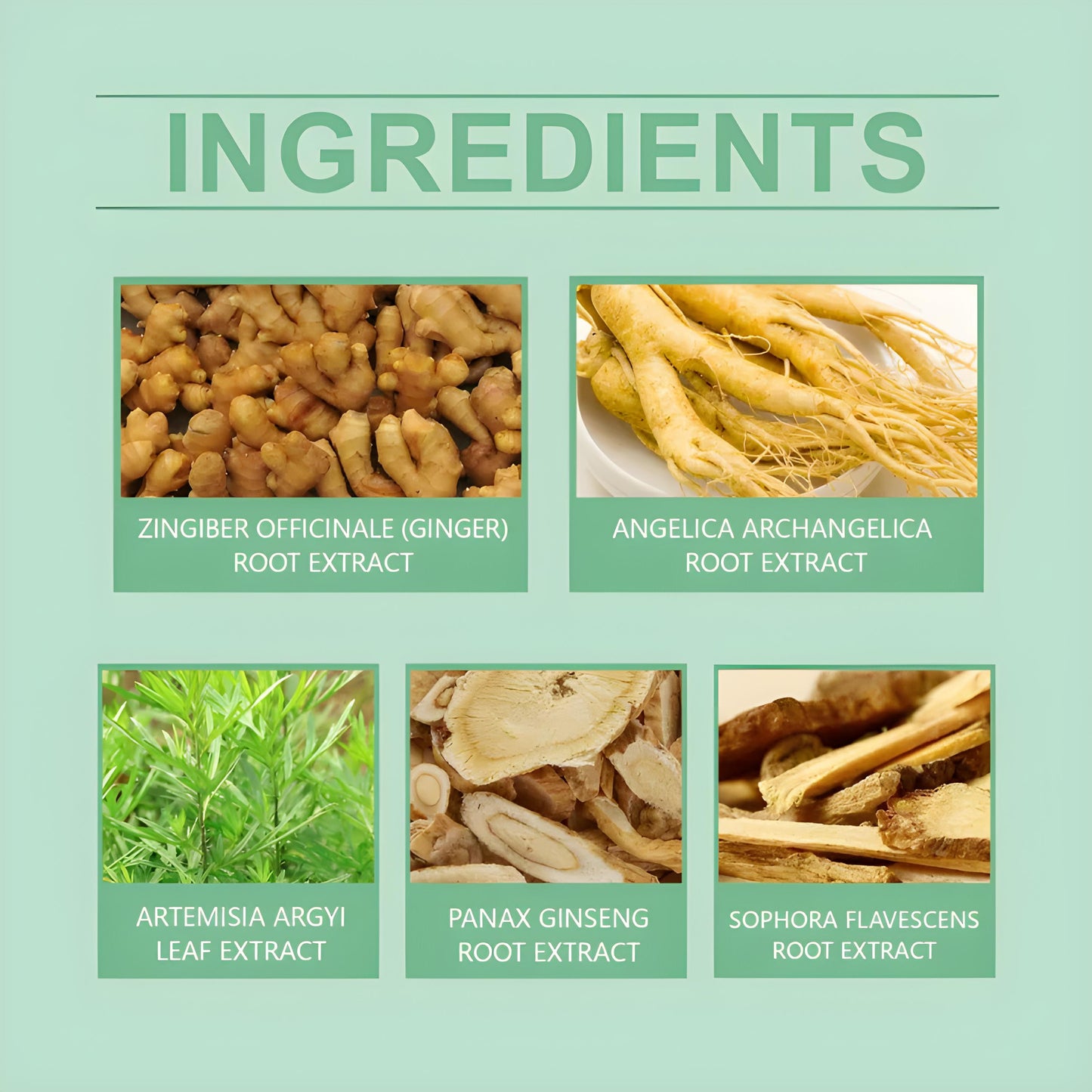 ✨ Detox Foot Patches – Natural Cleanse & Revive Pads Kit 👣🌿(set of 10)(pack of 2)