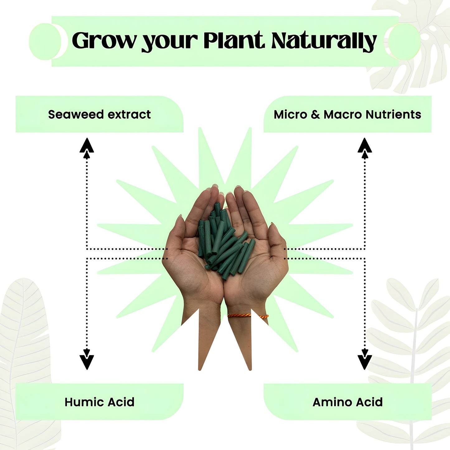 Plant Grow™ Fertilizer Sticks 🌿✨ | Slow-Release Nutrition | For All Plants | 50 Sticks (Pack of 2 & 4)