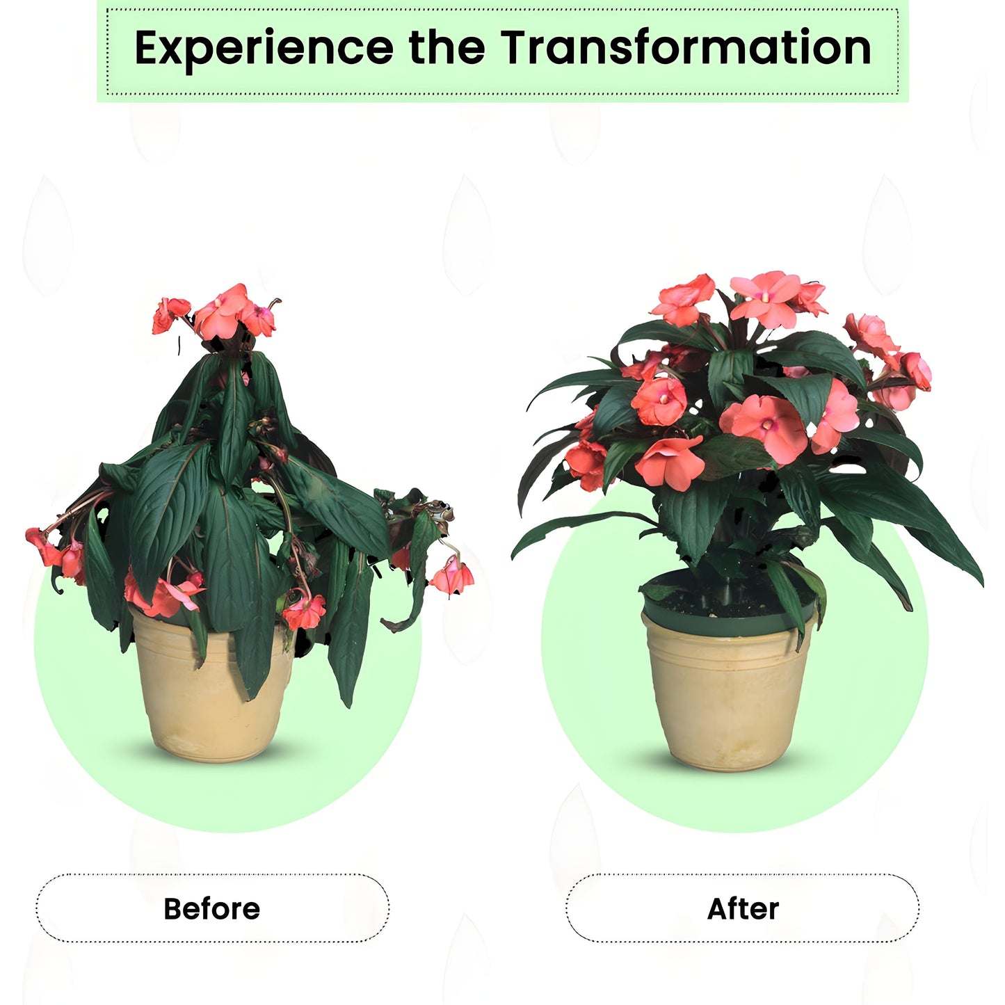 Plant Grow™ Fertilizer Sticks 🌿✨ | Slow-Release Nutrition | For All Plants | 50 Sticks (Pack of 2 & 4)