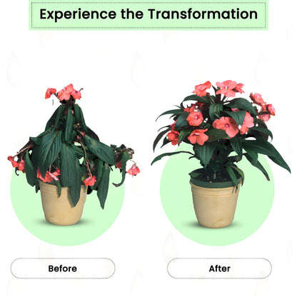 Plant Grow™ Fertilizer Sticks 🌿✨ | Slow-Release Nutrition | For All Plants | 50 Sticks (Pack of 2 & 4)